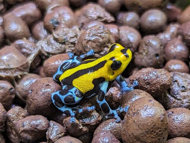 ありがたい国内CB到着！！！ : CANDLEブログ