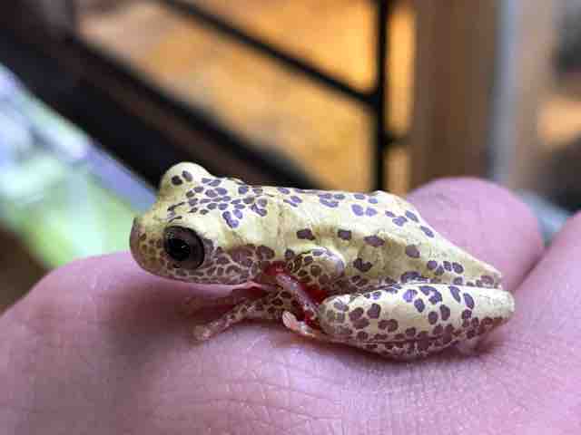 各ジャンルいろいろ入荷しています！ : CANDLEブログ