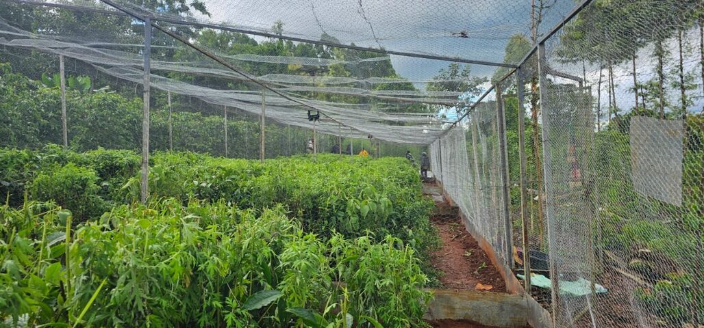 IMG-20260322-WA0007