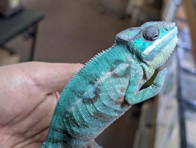 PXL_20260123_034023181