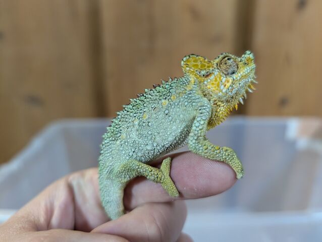 PXL_20260115_122547233