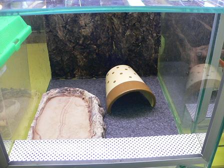 おすすめの新商品 Pcマット Candleブログ