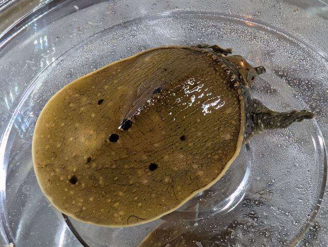PXL_20260817_041634718