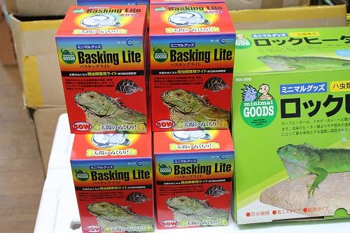 ジェックス ゲッコー飼育キット GT3045: 日用品・生活雑貨