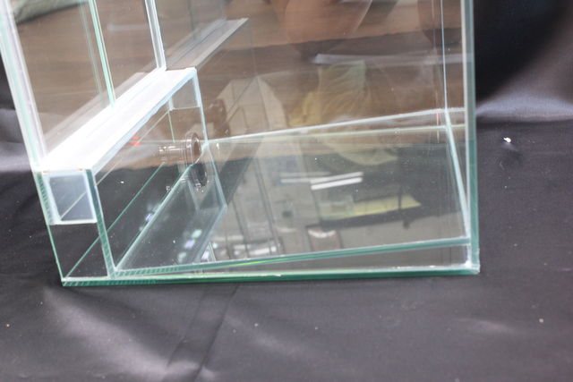 ヤドクガエル入荷 とビバリウム用ケージ販売開始 Candleブログ