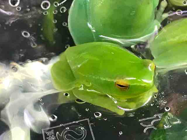 各ジャンルいろいろ入荷しています！ : CANDLEブログ