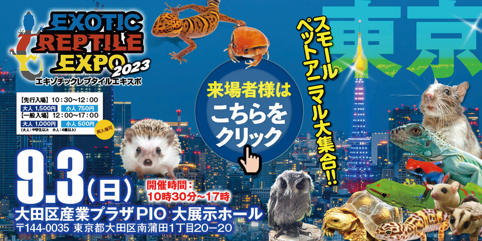 総額8万円超え】INCOTEX，ato，san francisco976セット イベント情報 