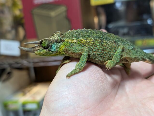 PXL_20250203_122048385