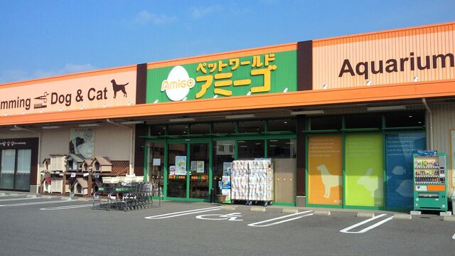 高知 (2)