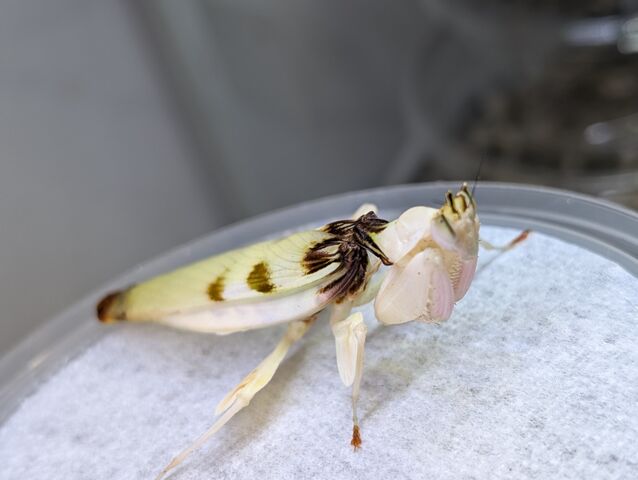 PXL_20250529_030642090