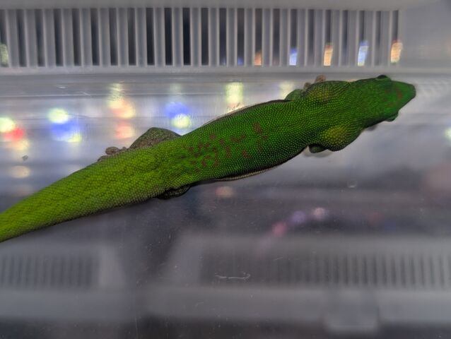 PXL_20251223_040718231