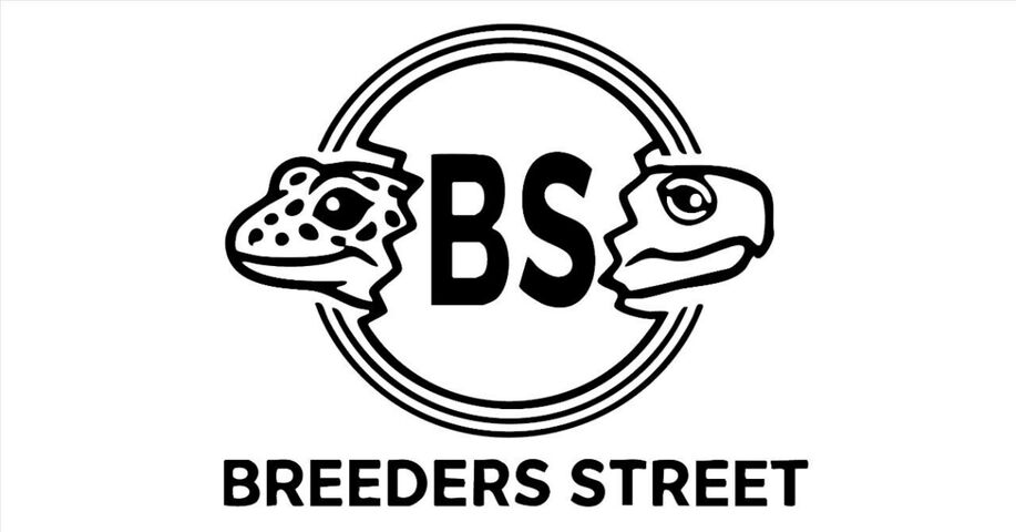 rectangle_large_type_2_bfb33e1046ac02c160b717c5518c7720