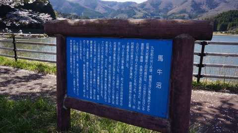 DSC01819