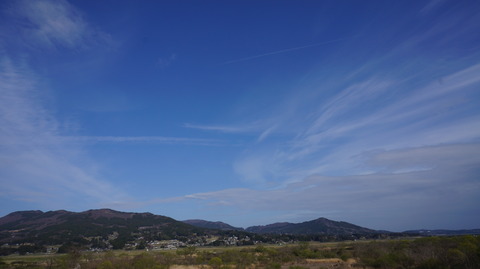 DSC01842