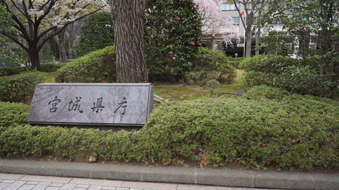 DSC01828
