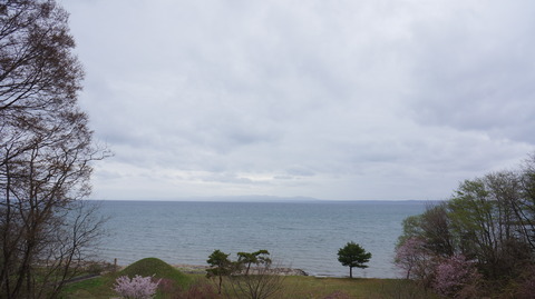 DSC01855
