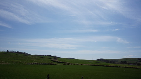 DSC01973