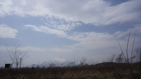 DSC01849