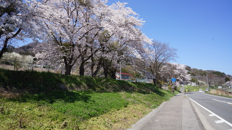 DSC01817