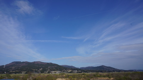 DSC01841
