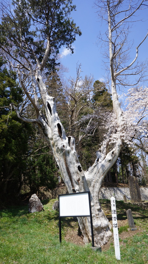DSC01847