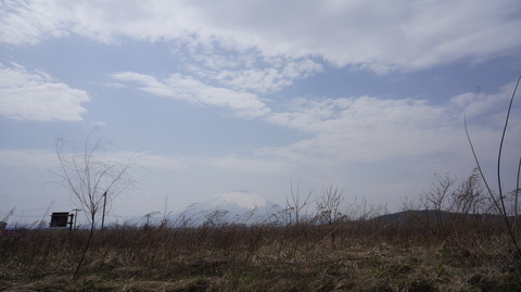 DSC01850
