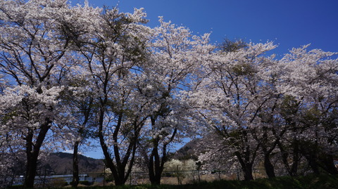 DSC01816