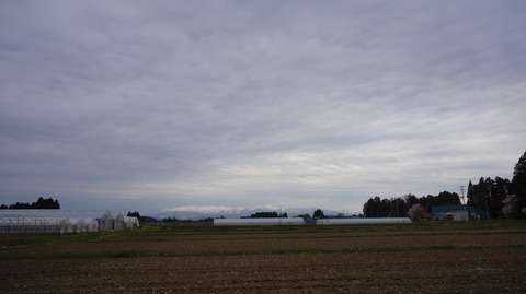 DSC01845