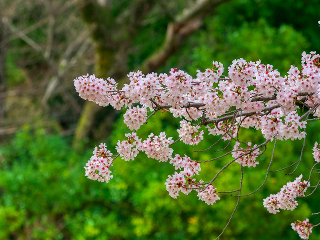 20220402_090934P4020367_13