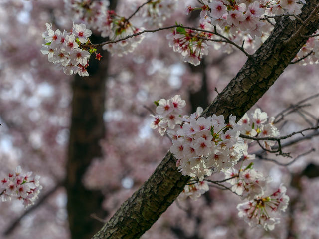 20220402_090641P4020363_10