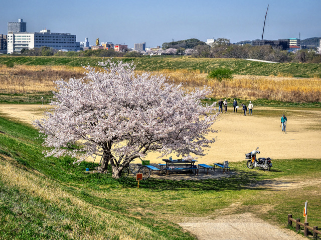 20220405_092502P4054158_15