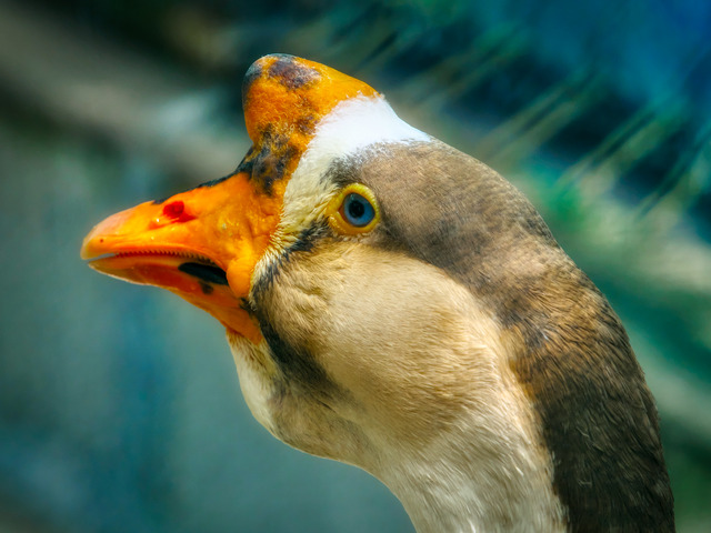 20220626_102125P6262469