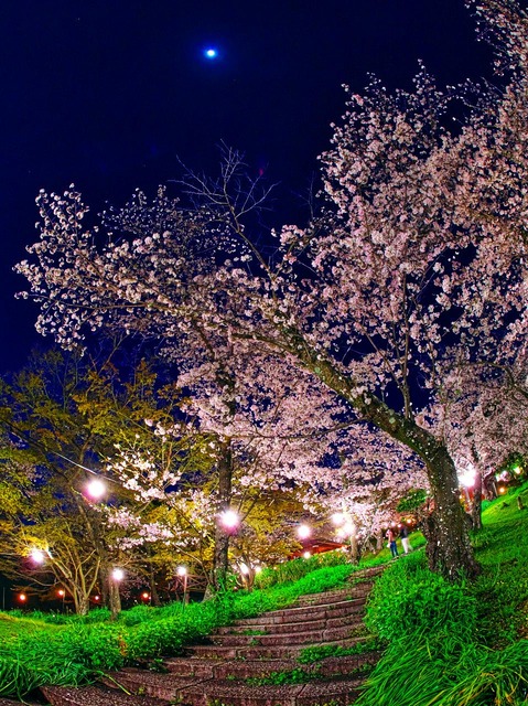 20230330_190637P3304910