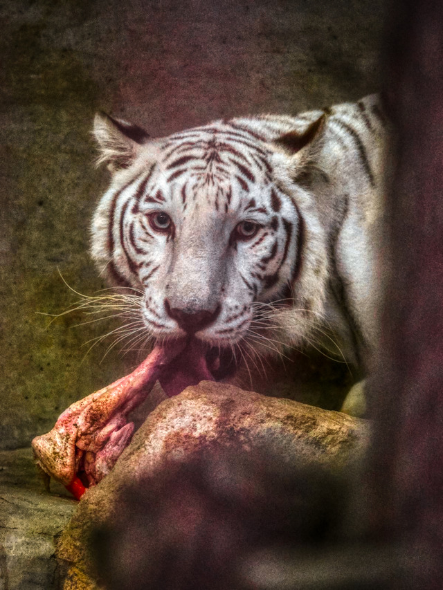 20221008_174652PA080912