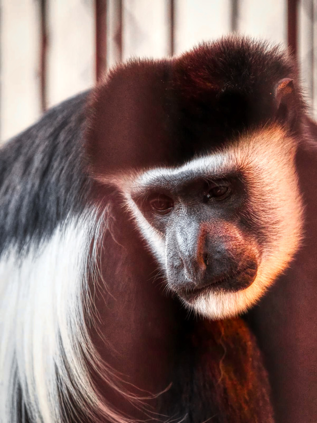 20221008_171528PA080832