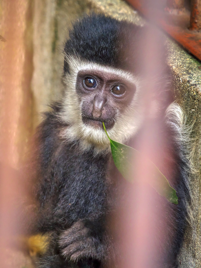 20220626_110541P6262596_6