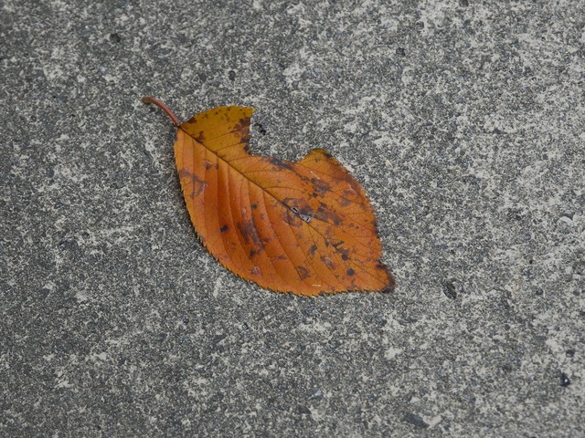 20221008_122622PA080139