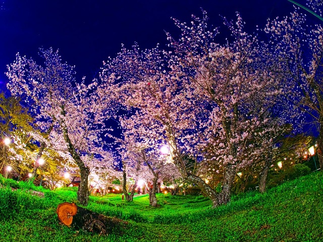 20230330_190346P3304904