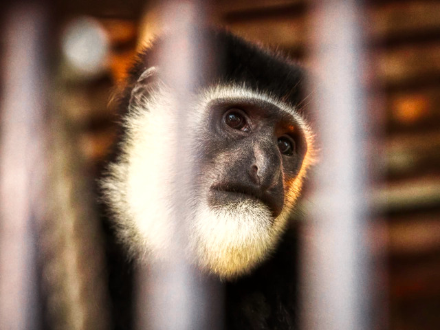 20221008_171442PA080818