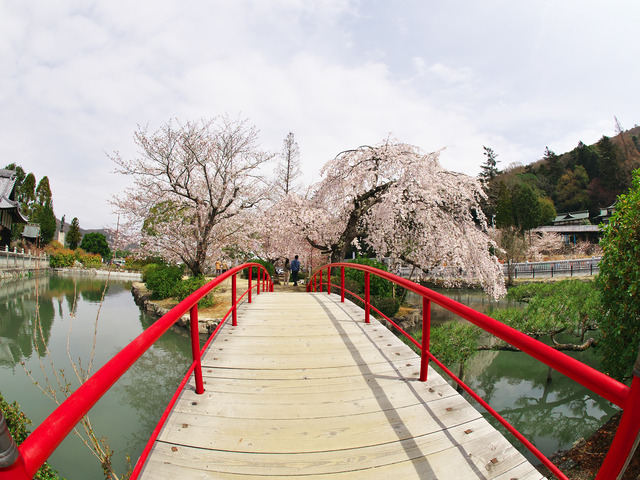 20220330_112642P3303326