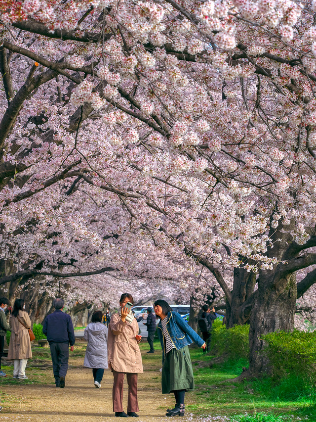 20220402_074435P4020181_2