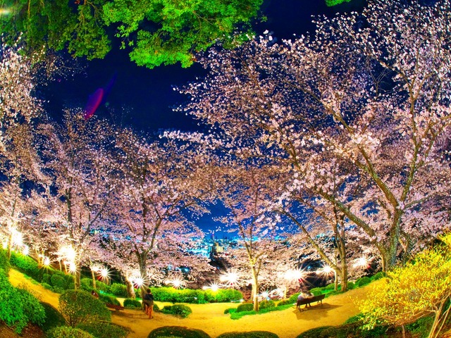 20230330_200405P3304957