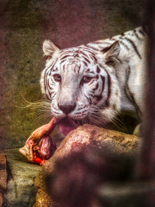 20221008_174652PA080910