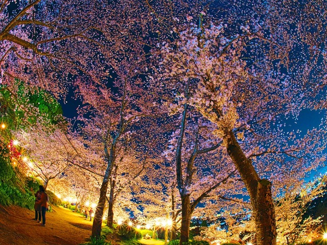 20230330_200915P3304962