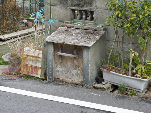 20220220_103538P2201011