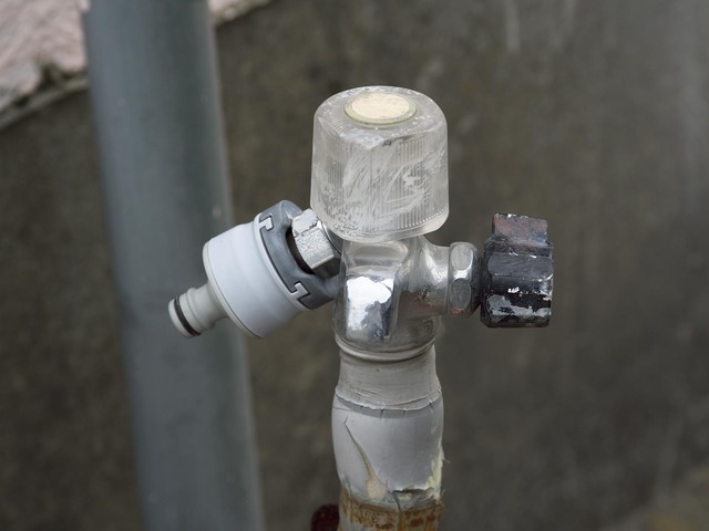 20221008_120137PA080111