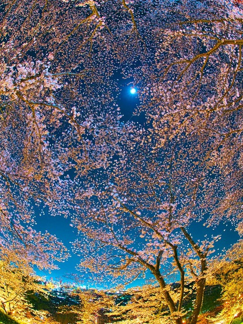 20230330_200742P3304960