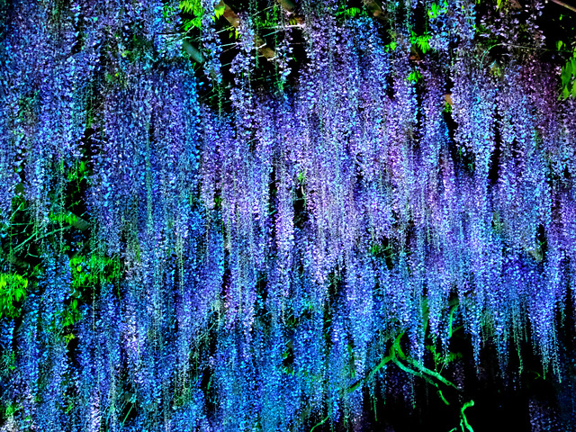 240426-202010