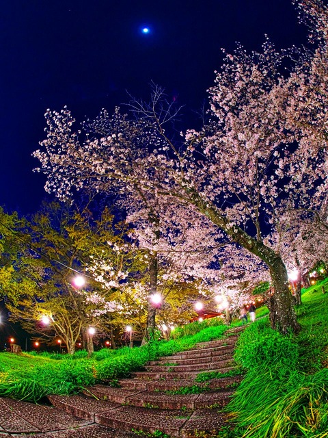 20230330_190632P3304909