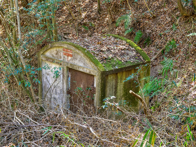 20220403_120337P4034061_42